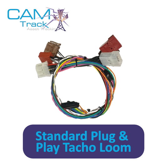 Standard Plug and Play Tacho Loom